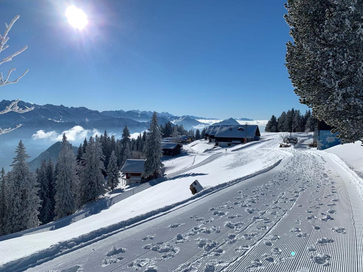 Rigi-Scheidegg Ferienwohnungen West Xl, Autofrei Vitznau Exterior photo